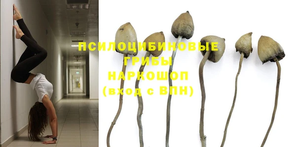 прущая мука Аркадак