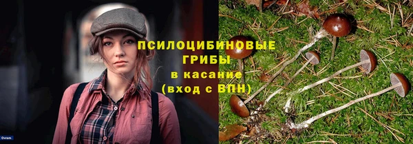 первитин Балахна