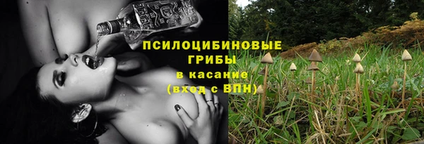 mix Армянск