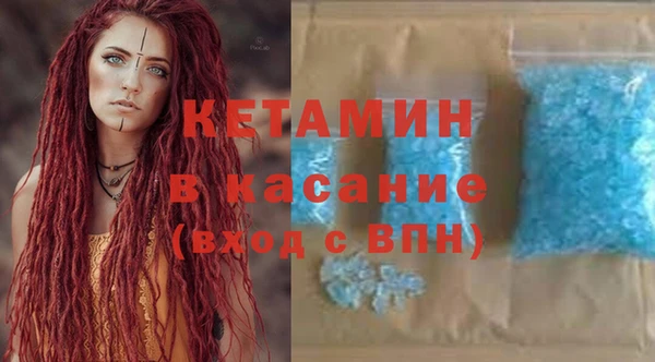 индика Сатка