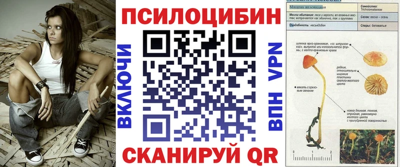 Псилоцибиновые грибы Psilocybe  Саки 