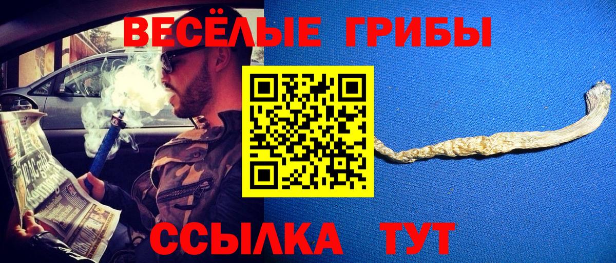 Саки  Галлюциногенные грибы GOLDEN TEACHER  Вход с VPN 